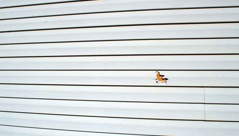 Sealing Repaired Siding